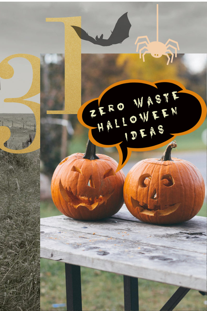 Zero Waste Halloween Ideas