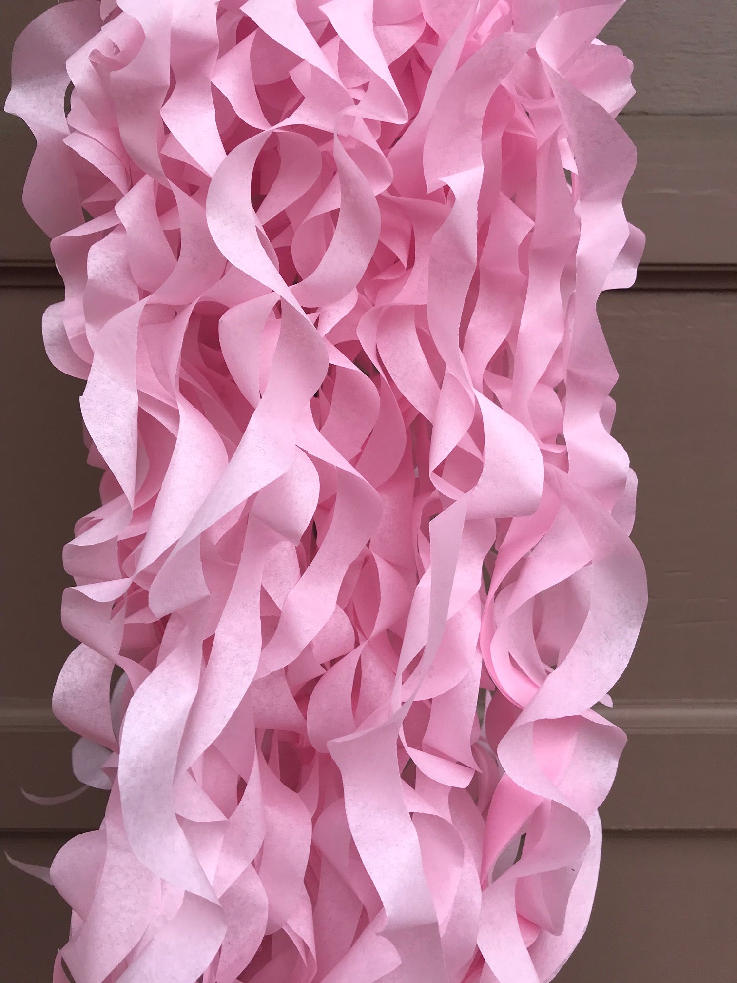 Light pink curly strands of a jellyfish lantern