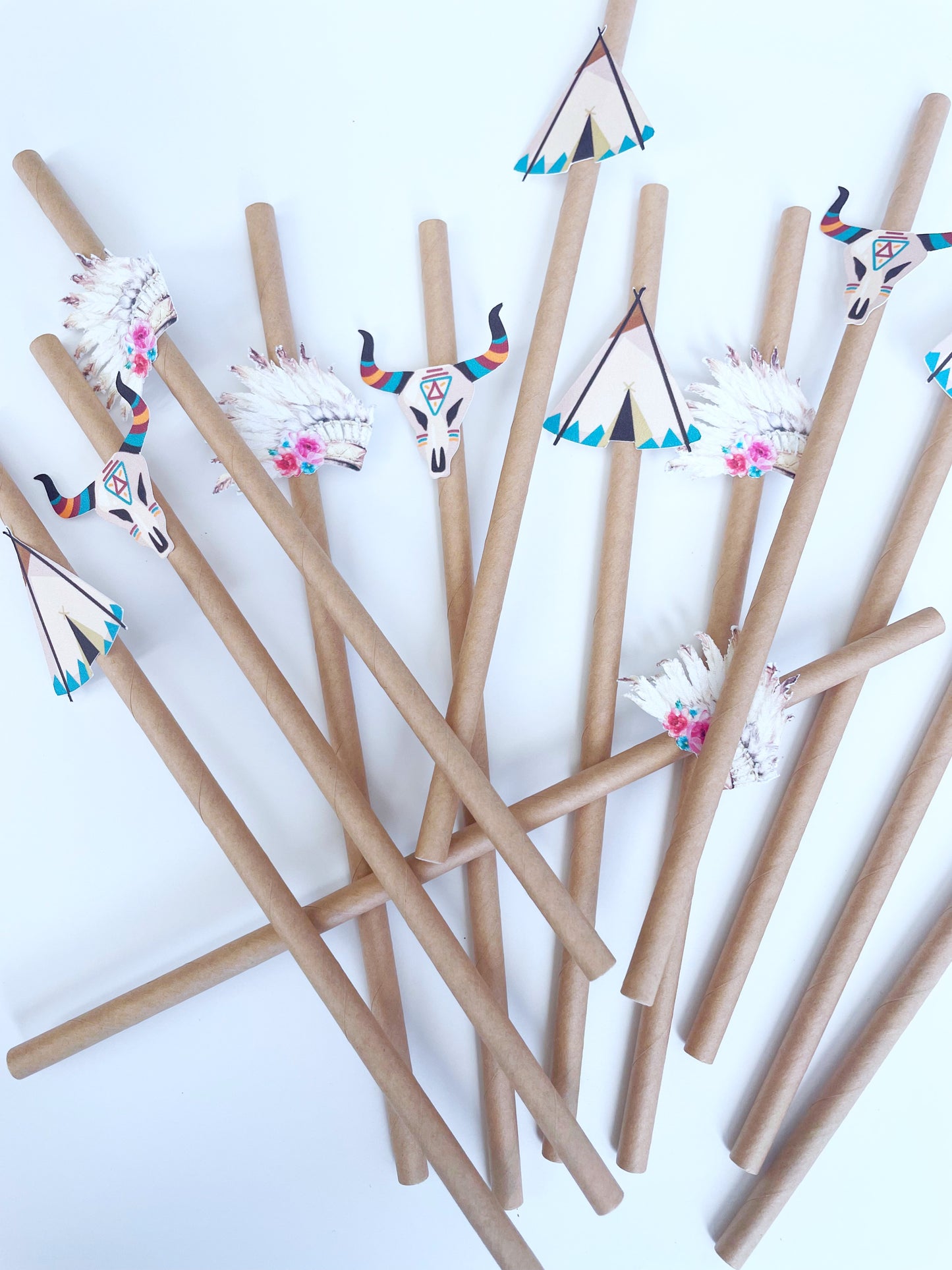 Native American Paper Straws